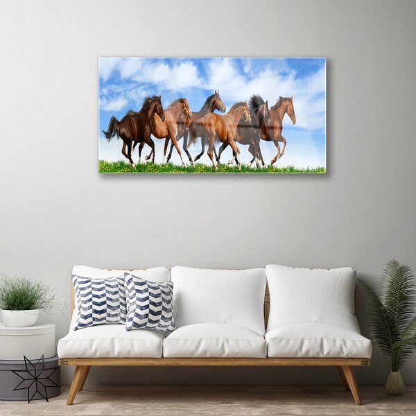 Skleneny obraz Cválajúci kone na pastvine 100x50 cm 2 Prívesky