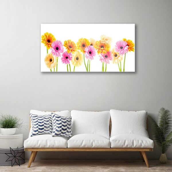 Skleneny obraz Farebné kvety gerbery 100x50 cm 2 Prívesky