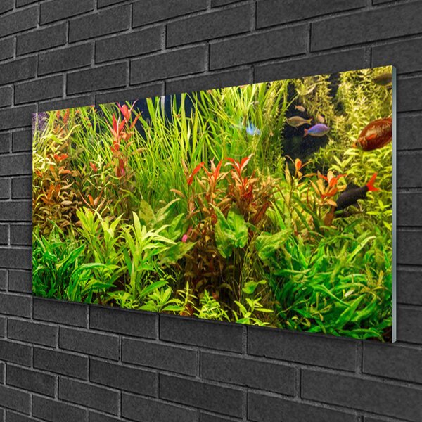 Skleneny obraz Akvárium rybičky rastliny 100x50 cm 2 Prívesky