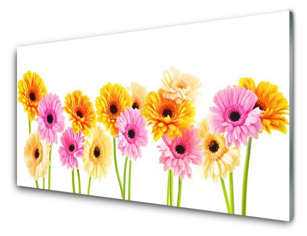 Sklenený obklad Do kuchyne Farebné kvety gerbery 125x50 cm