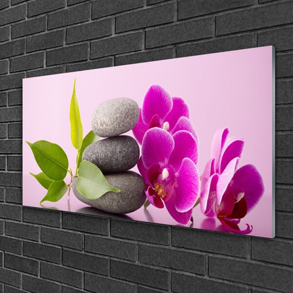 Skleneny obraz Orchidea vstavač kamene 100x50 cm 2 Prívesky