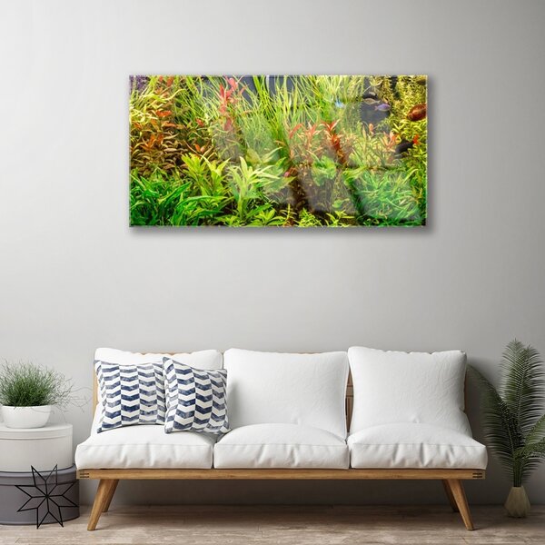 Skleneny obraz Akvárium rybičky rastliny 100x50 cm 2 Prívesky