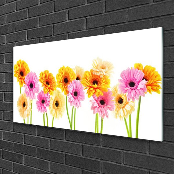 Skleneny obraz Farebné kvety gerbery 100x50 cm 2 Prívesky