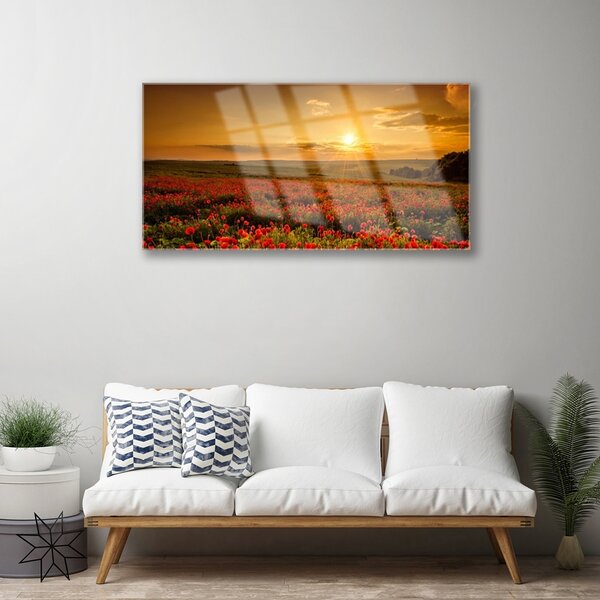 Skleneny obraz Pole maky západ slnka lúka 100x50 cm 2 Prívesky