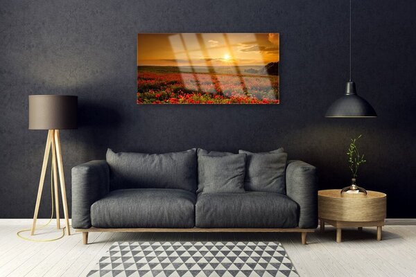 Skleneny obraz Pole maky západ slnka lúka 100x50 cm 2 Prívesky