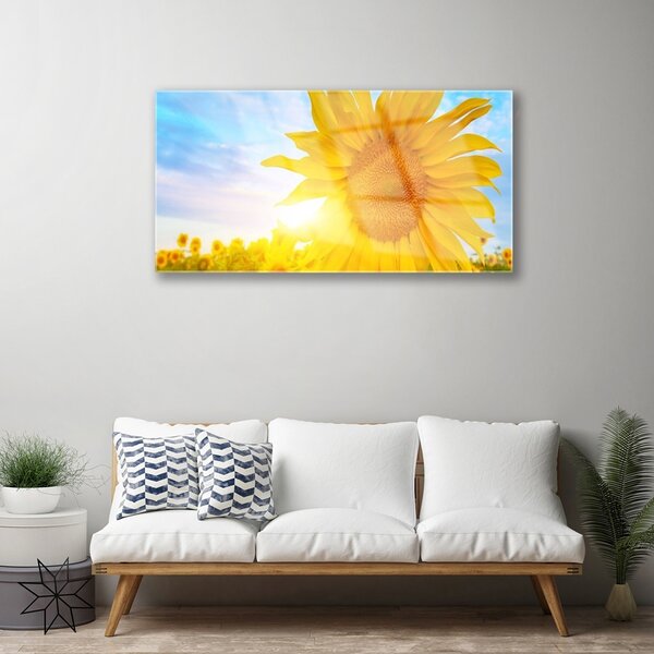 Skleneny obraz Slnečnica kvet slnko 100x50 cm 2 Prívesky