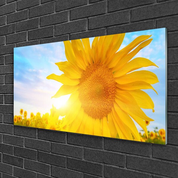 Skleneny obraz Slnečnica kvet slnko 100x50 cm 2 Prívesky