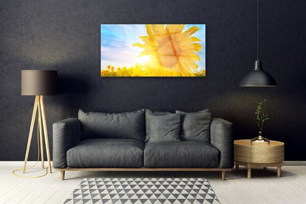 Skleneny obraz Slnečnica kvet slnko 100x50 cm 2 Prívesky