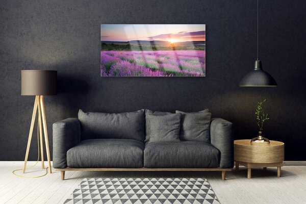 Skleneny obraz Levanduľa pole lúka západ 100x50 cm 2 Prívesky