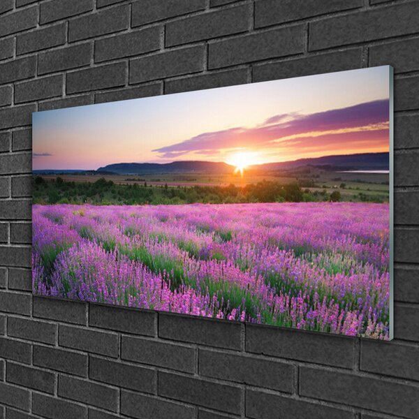 Skleneny obraz Levanduľa pole lúka západ 100x50 cm 2 Prívesky