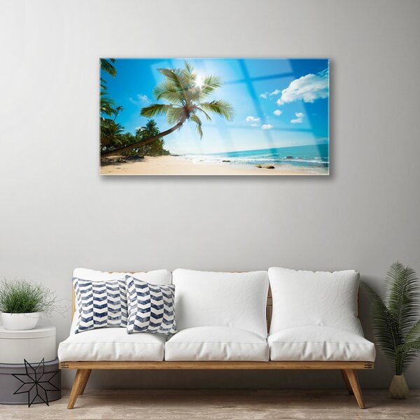 Skleneny obraz Palma strom pláž krajina 100x50 cm 2 Prívesky