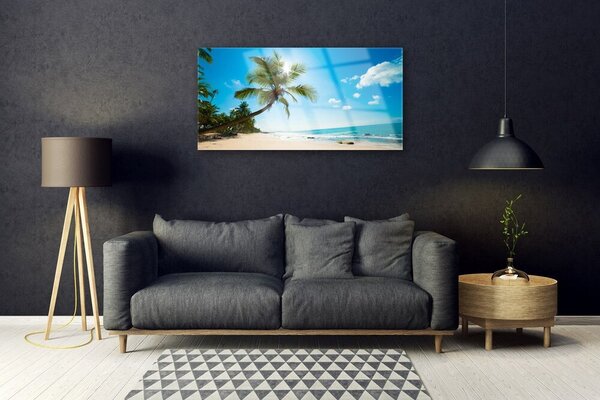Skleneny obraz Palma strom pláž krajina 100x50 cm 2 Prívesky