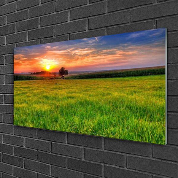Skleneny obraz Lúka slnko príroda 100x50 cm 2 Prívesky