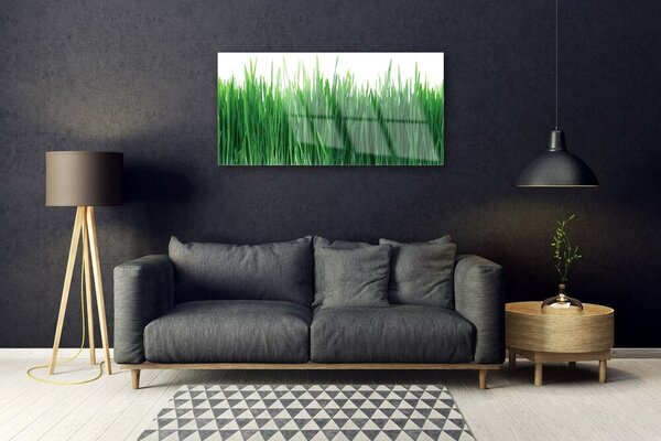 Skleneny obraz Tráva príroda rastlina 100x50 cm 2 Prívesky