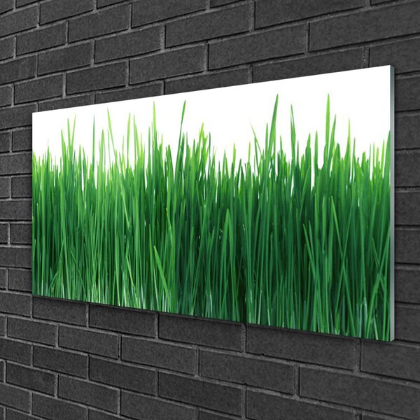Skleneny obraz Tráva príroda rastlina 100x50 cm 2 Prívesky