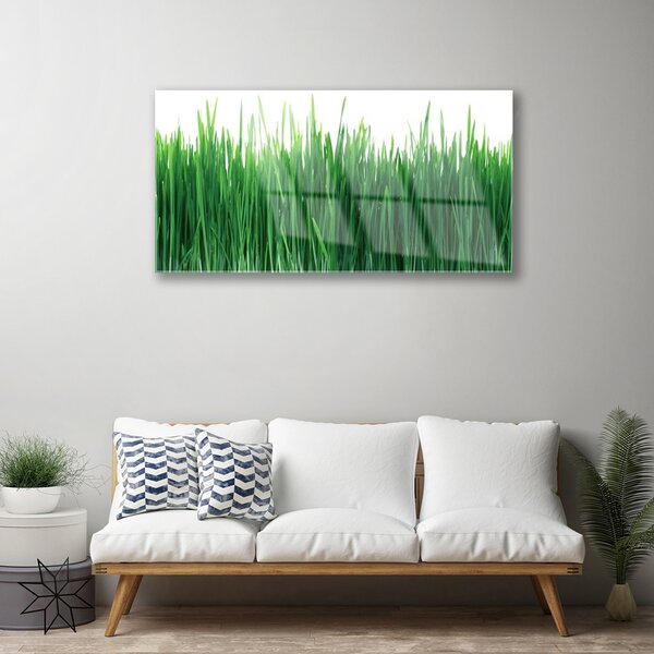 Skleneny obraz Tráva príroda rastlina 100x50 cm 2 Prívesky