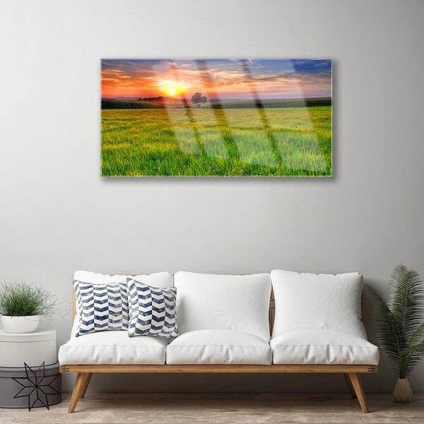 Skleneny obraz Lúka slnko príroda 100x50 cm 2 Prívesky