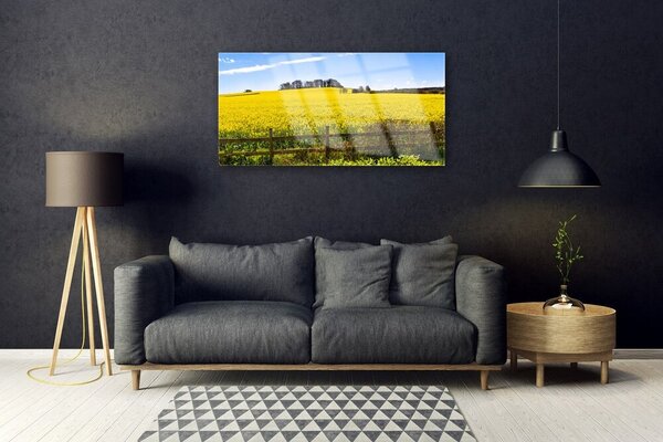 Skleneny obraz Pole rastlina krajina 100x50 cm 2 Prívesky