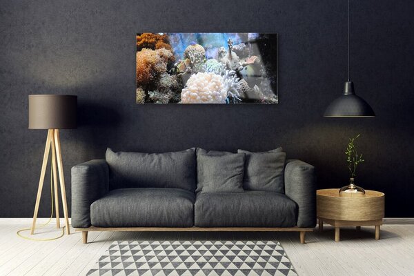 Skleneny obraz Koralový útes príroda 100x50 cm 2 Prívesky