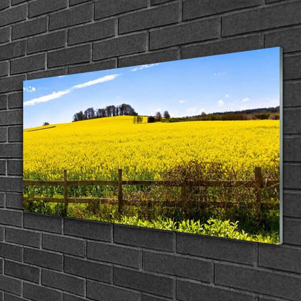 Skleneny obraz Pole rastlina krajina 100x50 cm 2 Prívesky