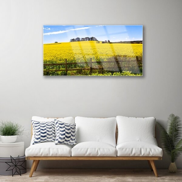 Skleneny obraz Pole rastlina krajina 100x50 cm 2 Prívesky