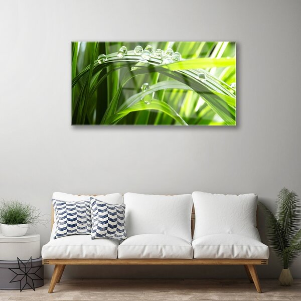 Skleneny obraz Tráva voda kvapky príroda 100x50 cm 2 Prívesky