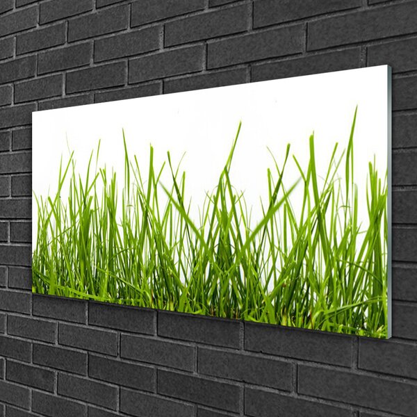 Skleneny obraz Tráva príroda rastlina 100x50 cm 2 Prívesky