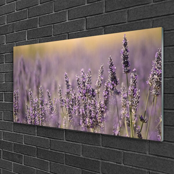 Skleneny obraz Kvety rastlina príroda 100x50 cm 2 Prívesky