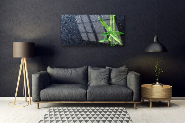 Skleneny obraz Bambus stonka rastlina príroda 100x50 cm 2 Prívesky