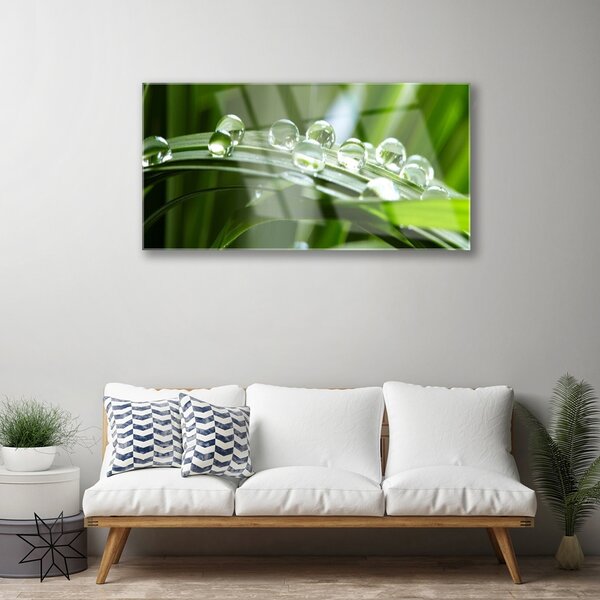 Skleneny obraz Tráva rosa kvapky rastlina 100x50 cm 2 Prívesky