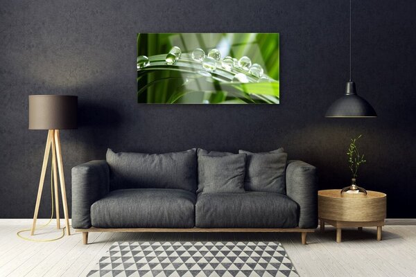 Skleneny obraz Tráva rosa kvapky rastlina 100x50 cm 2 Prívesky
