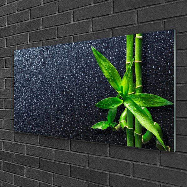 Skleneny obraz Bambus stonka rastlina príroda 100x50 cm 2 Prívesky