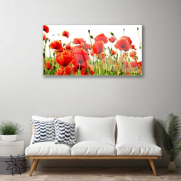 Skleneny obraz Maky rastlina príroda 100x50 cm 2 Prívesky
