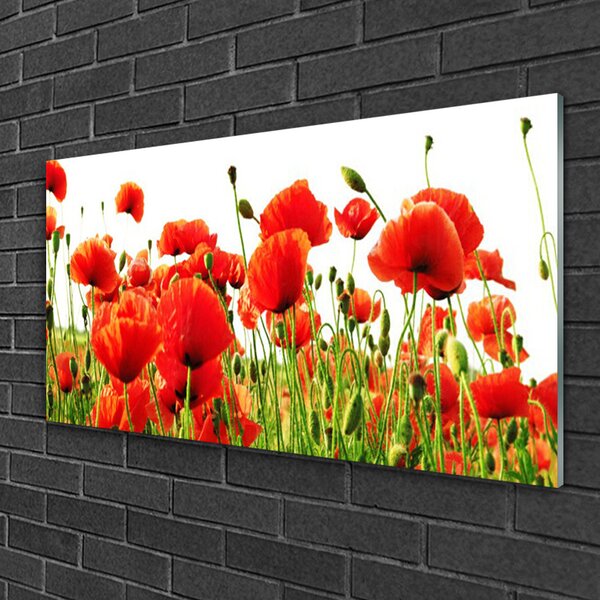 Skleneny obraz Maky rastlina príroda 100x50 cm 2 Prívesky