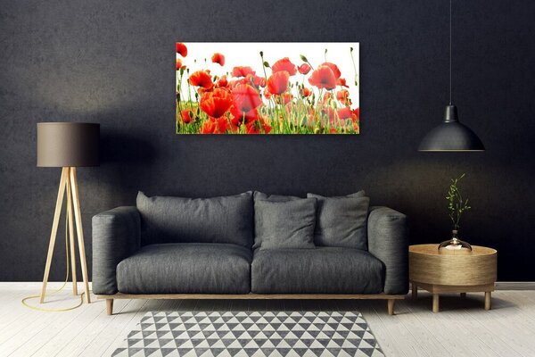 Skleneny obraz Maky rastlina príroda 100x50 cm 2 Prívesky