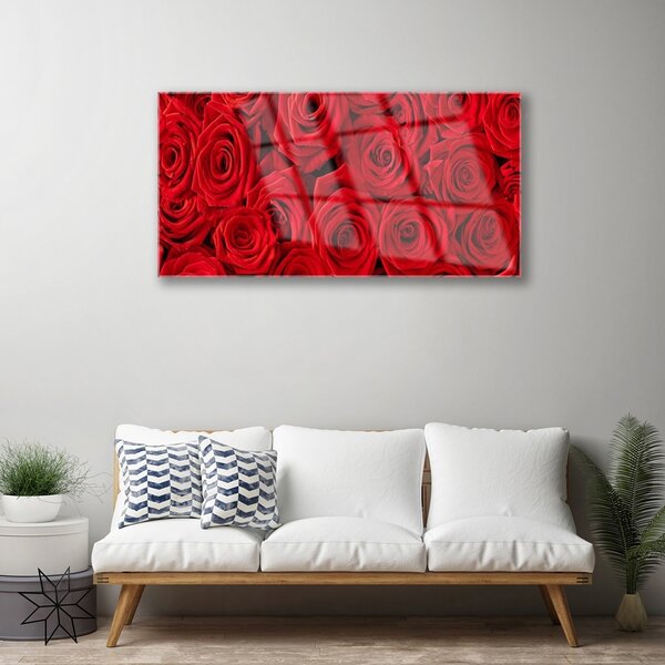 Skleneny obraz Ruže kvety rastlina 100x50 cm 2 Prívesky