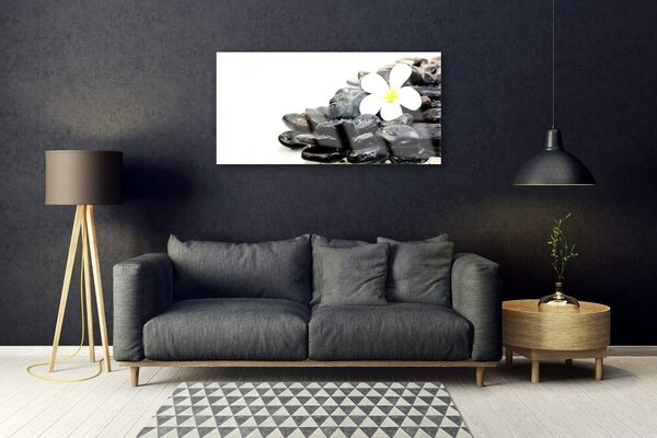 Skleneny obraz Kvety kamene umenie 100x50 cm 2 Prívesky