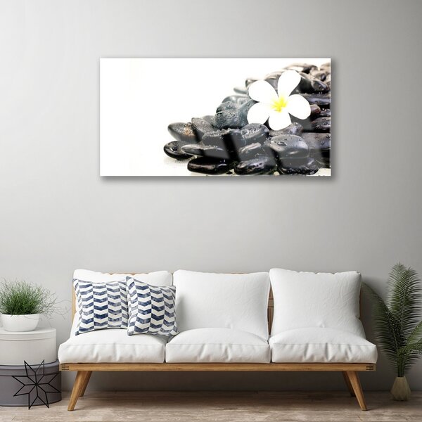 Skleneny obraz Kvety kamene umenie 100x50 cm 2 Prívesky
