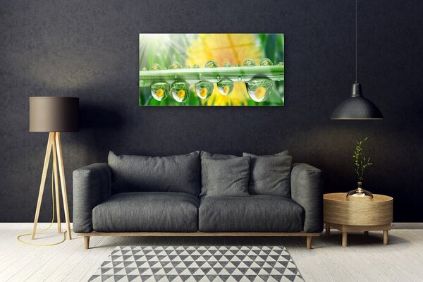 Skleneny obraz Stonka kvapky rosa rastlina 100x50 cm 2 Prívesky