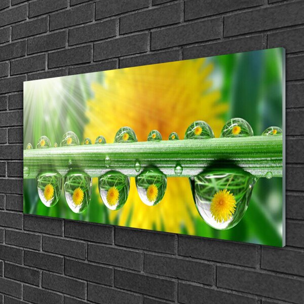 Skleneny obraz Stonka kvapky rosa rastlina 100x50 cm 2 Prívesky
