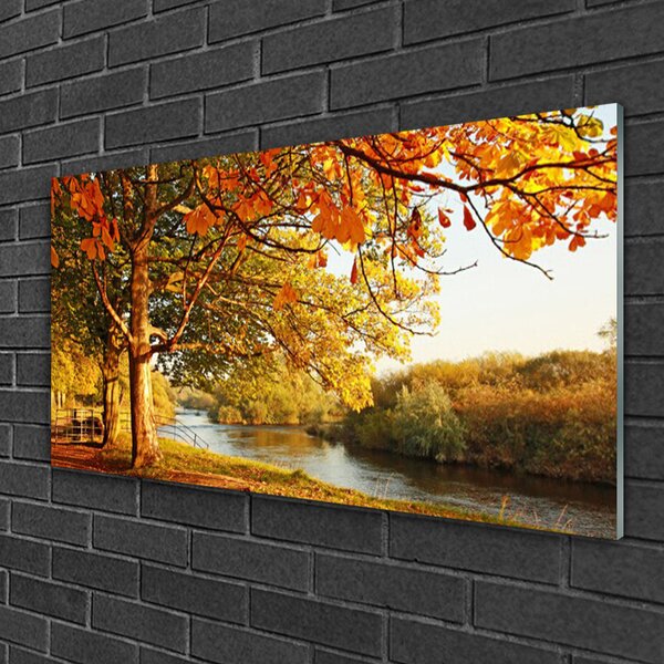 Skleneny obraz Strom jazero príroda 100x50 cm 2 Prívesky
