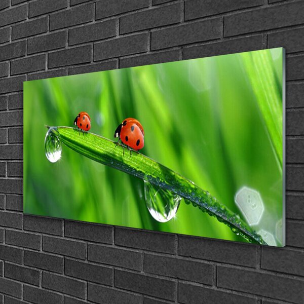 Skleneny obraz Lienka tráva kvapky 100x50 cm 2 Prívesky