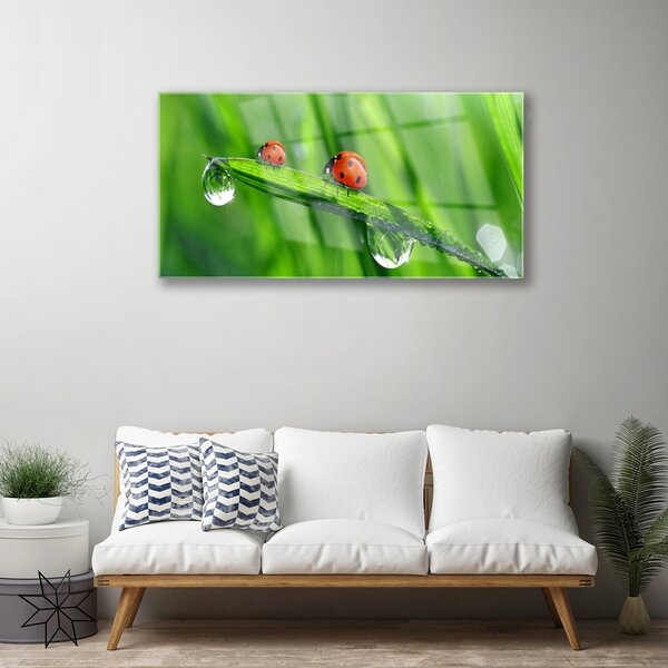 Skleneny obraz Lienka tráva kvapky 100x50 cm 2 Prívesky