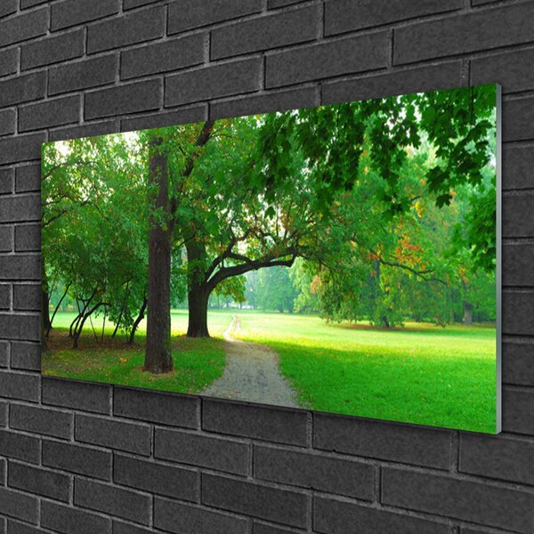 Skleneny obraz Chodník stromy príroda 100x50 cm 2 Prívesky