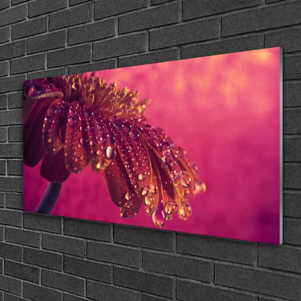 Skleneny obraz Strom príroda rastlina 100x50 cm 2 Prívesky