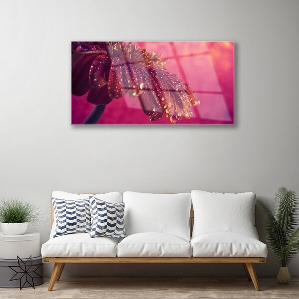 Skleneny obraz Strom príroda rastlina 100x50 cm 2 Prívesky