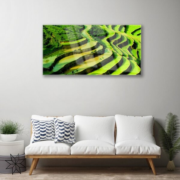 Skleneny obraz Pole ryža les umenie 100x50 cm 2 Prívesky