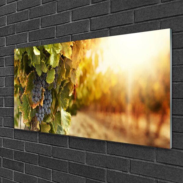 Skleneny obraz Hrozno listy kuchyňa 100x50 cm 2 Prívesky