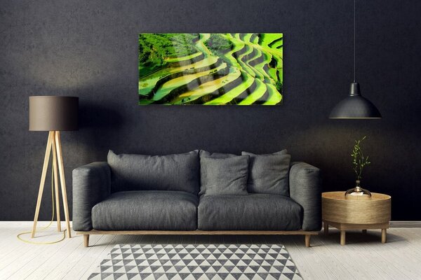 Skleneny obraz Pole ryža les umenie 100x50 cm 2 Prívesky