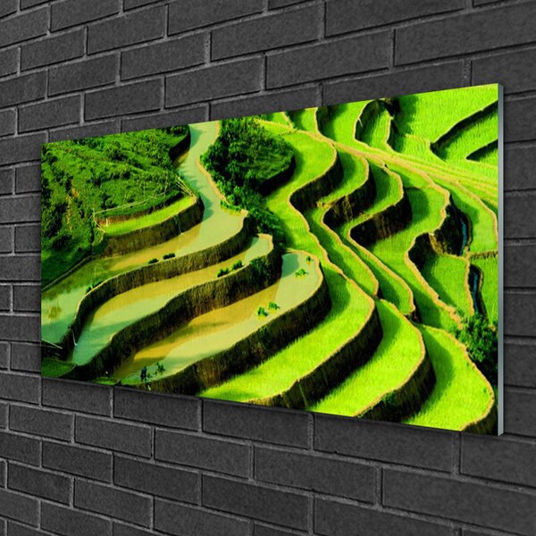 Skleneny obraz Pole ryža les umenie 100x50 cm 2 Prívesky